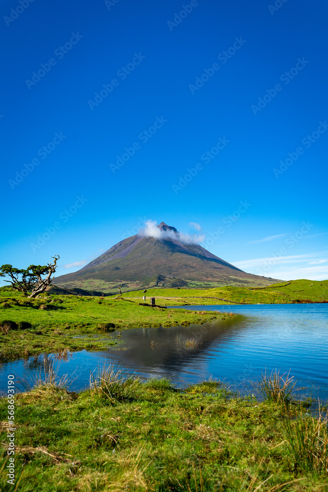 Azoren Sao Miguel Portugal Atlantischer Ozean Ponta Delgada