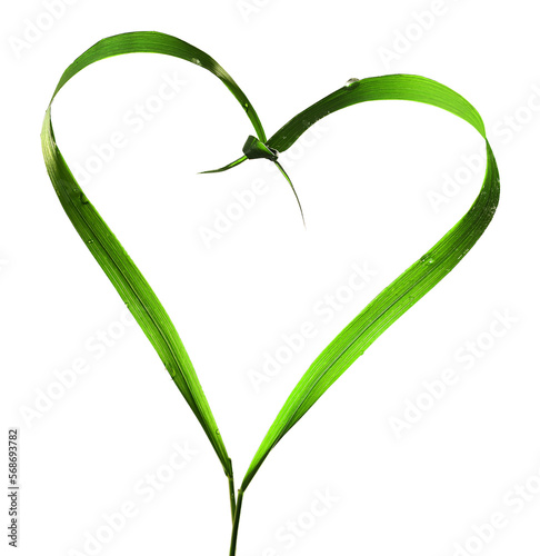 Heart with blades of grass, ecology, transparent background