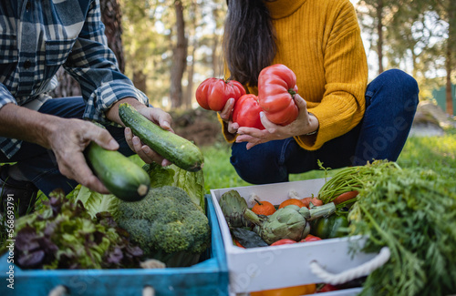 Man and woman taking vegetables from crate photo