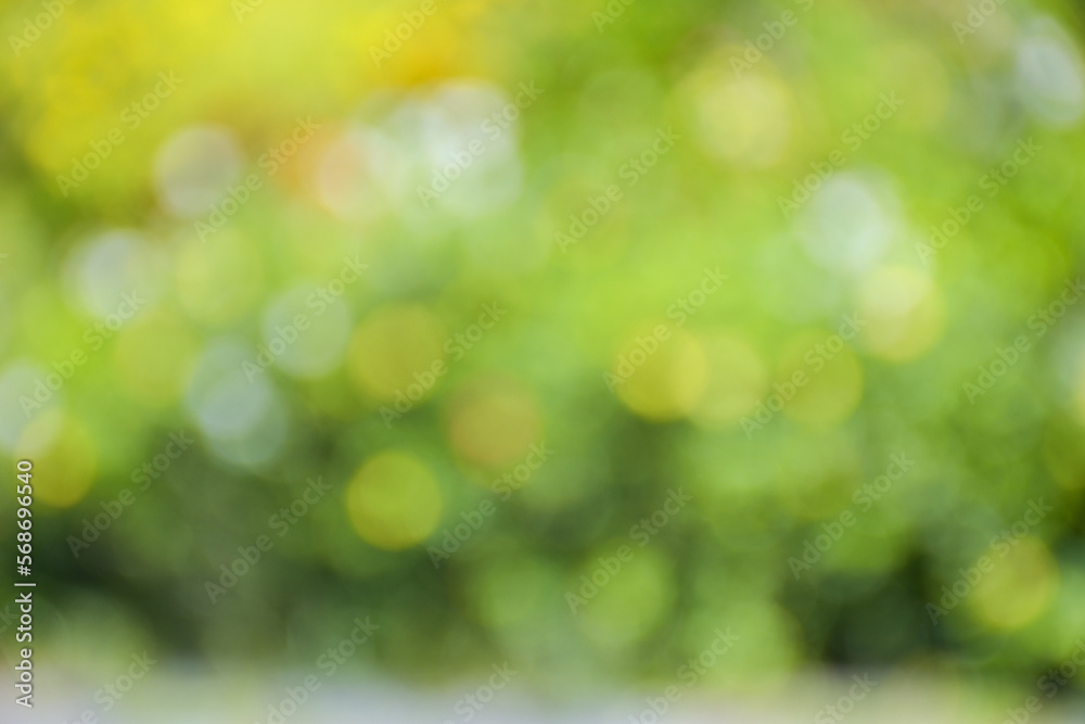 bokeh light beauty nature soft blur bokeh light beauty nature soft blur