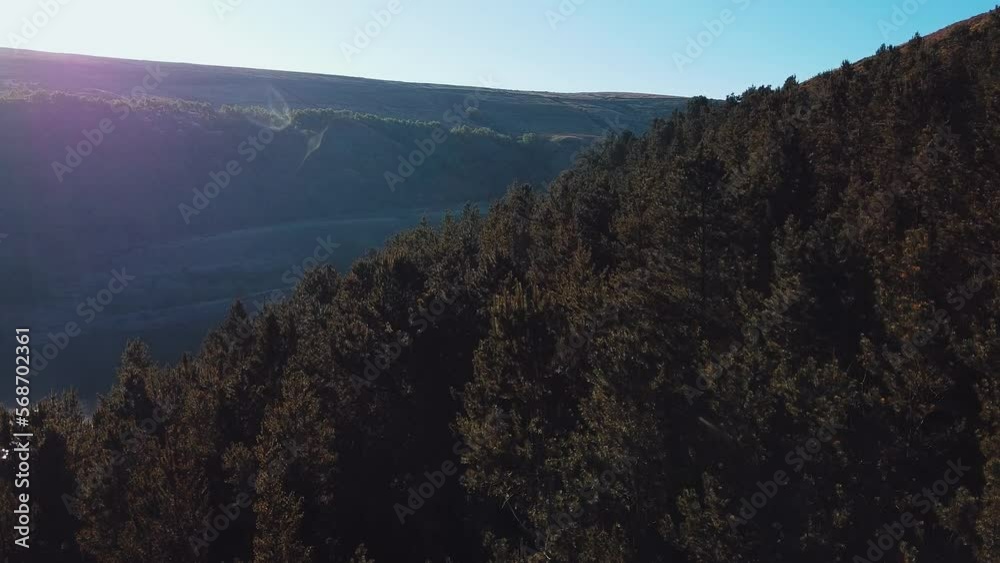 Drone flying over pine forest near a reservoir in Yorkshire England Drone flying over pine forest near a reservoir in Yorkshire England
