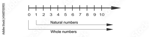Integers on number line with positive numbers and zero. Math chart for addition and subtraction operations in school isolated on white background