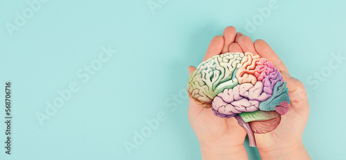 Holding a brain in the hands, Parkinson disease, Alzheimer awardness, mental disorder dementia, psychology problems, adhd, cerebral vein thrombosis, generative ai used for brain photo