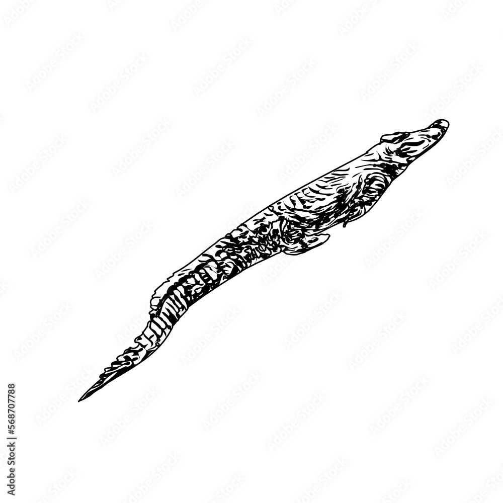 Naklejka premium Black and white sketch of a crocodile with transparent background