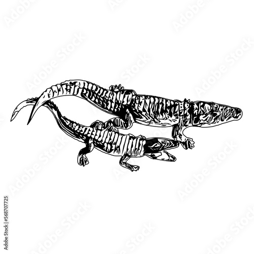 Black and white sketch of a crocodile with transparent background © Trias