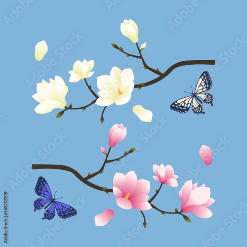 목련과 나비 일러스트