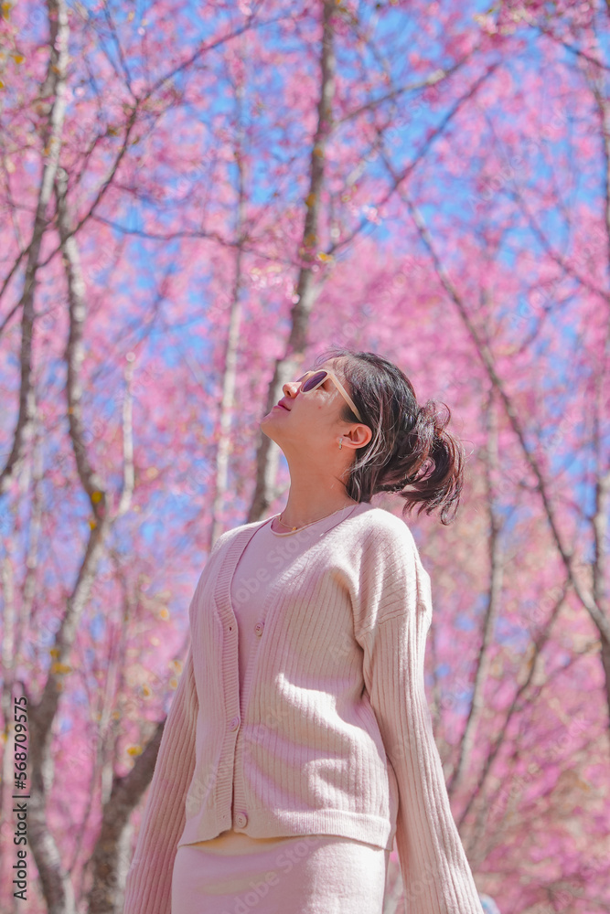 A woman in a pink dress looking at Pink Cherry Sakura Blossom sending love, Pink flowers, and a Blue sky. Travel Photography. A woman in a pink dress looking at Pink Cherry Sakura Blossom sending love, Pink flowers, and a Blue sky. Travel Photography.