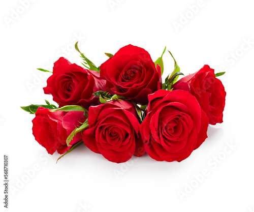 Valentine day red roses isolated on white background