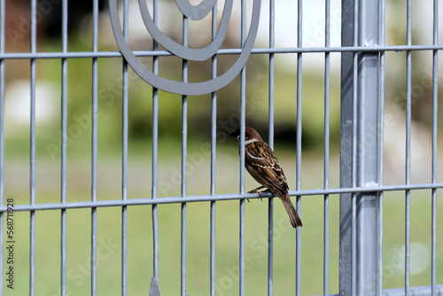 Kualalumpurimpressionen