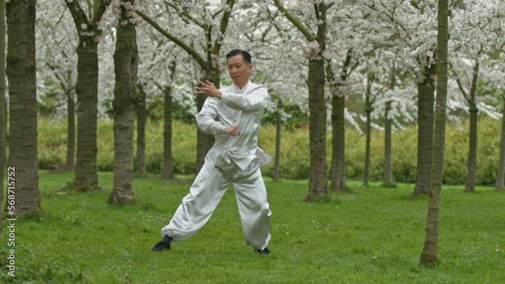 Kung-fu fighter practicing in traditional kimono in park. Kung-fu fighter practicing in traditional kimono in park.