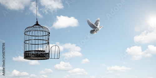 White dove flying to freedom (dove created with generative AI)