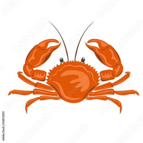 Crab. Marine dweller. Concept of sea and ocean life. Vector illustration