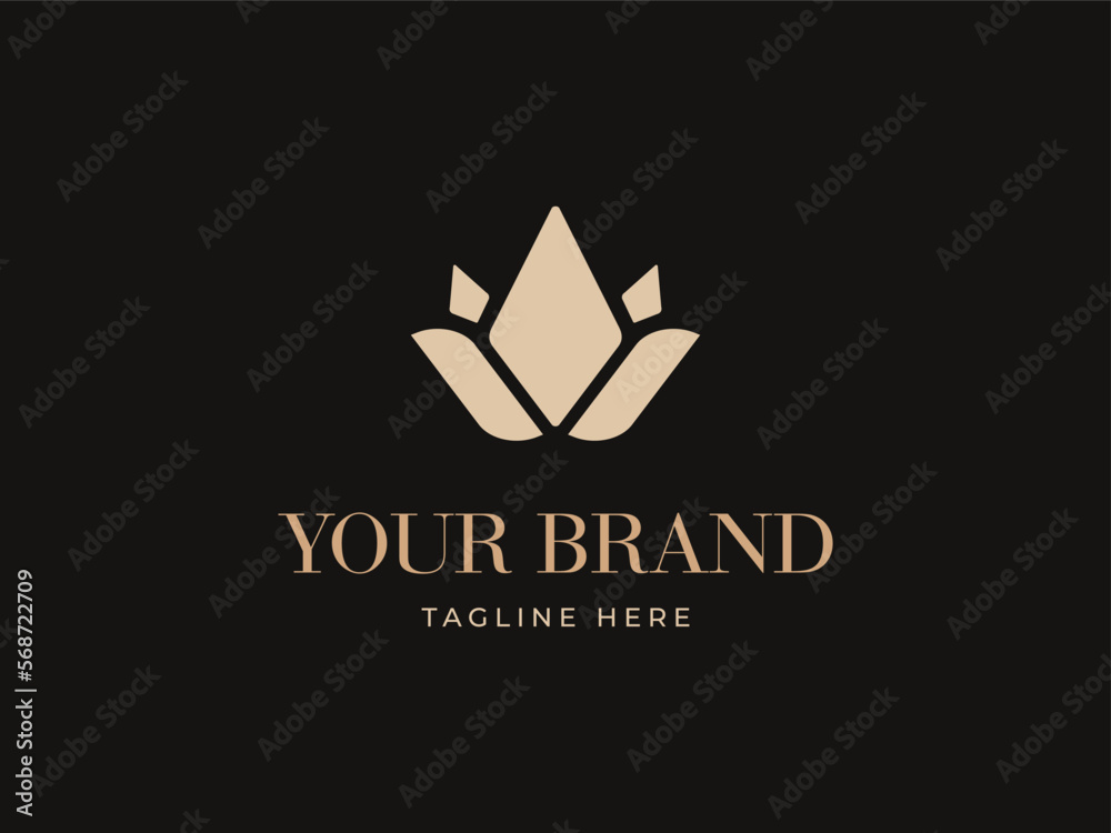 Abstract Beauty Flower Logo Template. Abstract emblem, designs concept for cosmetics, salon logo, Spa, Jewelry logotype element for template. Abstract Beauty Flower Logo Template. Abstract emblem, designs concept for cosmetics, salon logo, Spa, Jewelry logotype element for template.