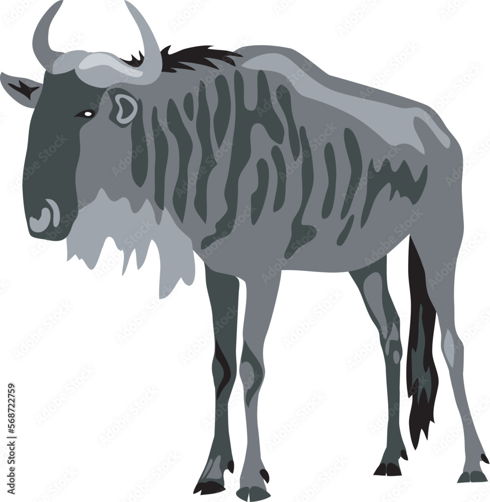 Fototapeta premium Wildebeest - vector illustration