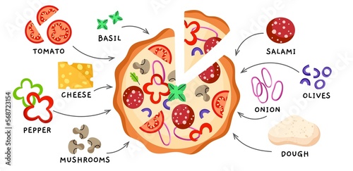 Italian pizza recipe. Different ingredients, tortilla made of dough with salami, cheese, tomatoes and olives, food elements, vector concept