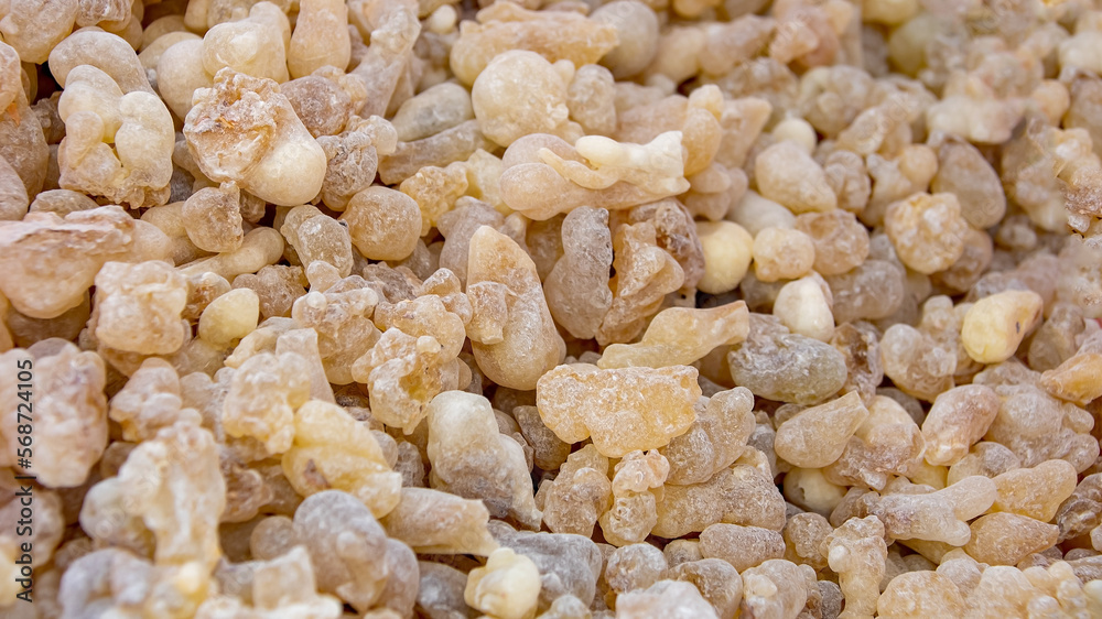 frankincense High quality frankincense resin from Oman
frankincense High quality frankincense resin from Oman