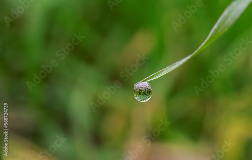 Micro dew drop