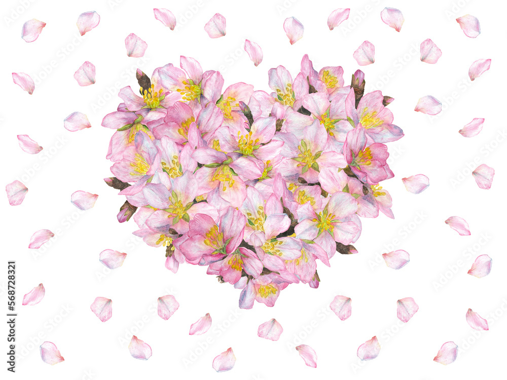 Watercolor illustration of a pink heart and sakura petals. highlight on a white background.