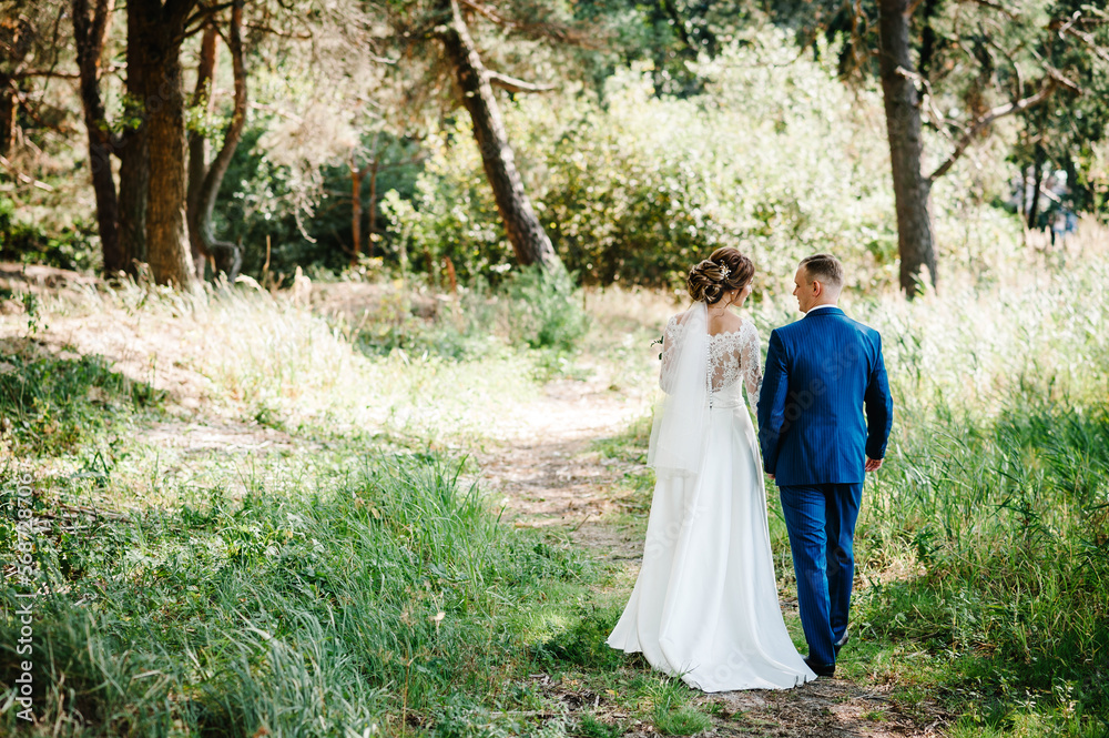 The groom and bride walking back in the country. Portrait of the newlyweds in the park. Happy couple. Wedding photo. Couple in love.