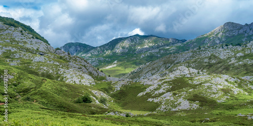 Collado Pandébano, Mountain Range, Picos de Europa National Park, Asturias, Spain, Europe photo