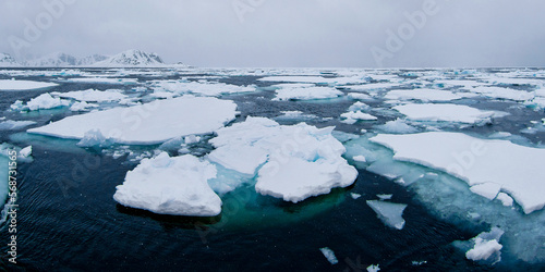 Drift floating Ice, Albert I Land, Arctic, Spitsbergen, Svalbard, Norway, Europe