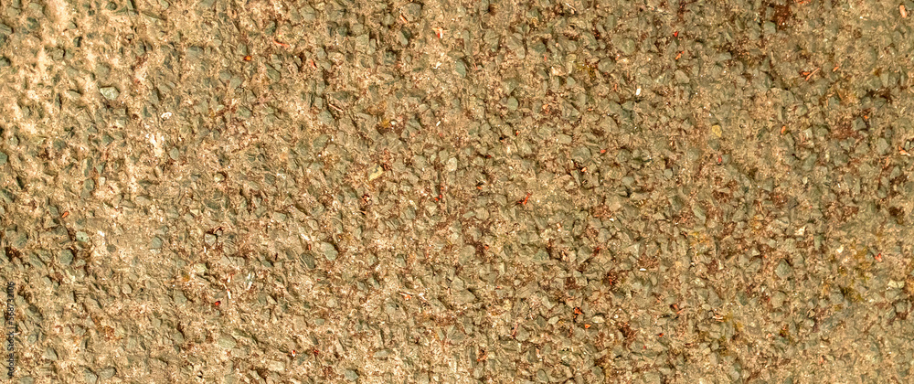 Wall Surface Textured Background Wall Surface Textured Background
