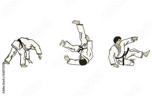 judo - mae ukemi photo