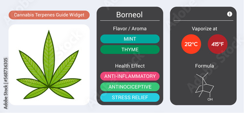 Cannabis Terpene Guide Information Chart. Aroma and Flavor with Health Benefits and Vaporize Temperature. Vector.