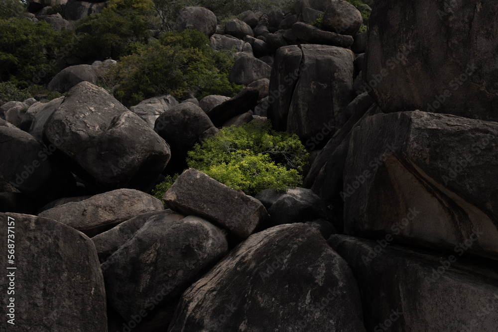 each of green between the rocks