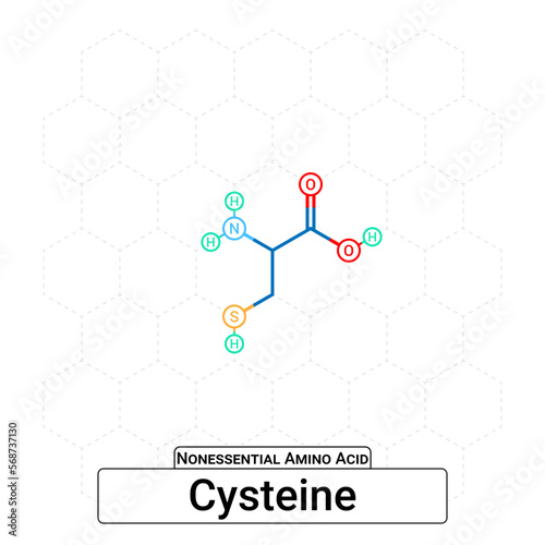Cysteine Chemical Structure Non-Essential Amino Acid Organic Molecules, Functional, Side Chain, Carboxyl, Amino Group, Protein Building Block Isolated on Whited Background, Chemistry, Biology