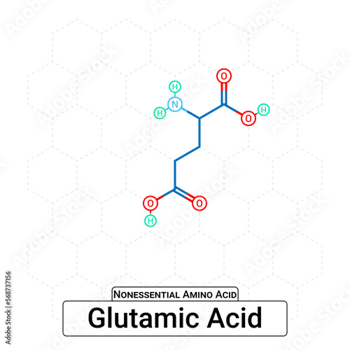 Glutamic Acid Chemical Structure Non-Essential Amino Acid Organic Molecules, Functional, Side Chain, Carboxyl, Amino Group, Protein Building Block Isolated on Whited Background, Chemistry, Biology