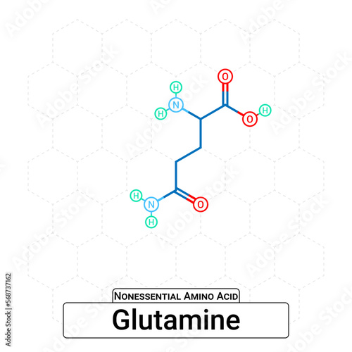 Glutamine Chemical Structure Non-Essential Amino Acid Organic Molecules, Functional, Side Chain, Carboxyl, Amino Group, Protein Building Block Isolated on Whited Background, Chemistry, Biology