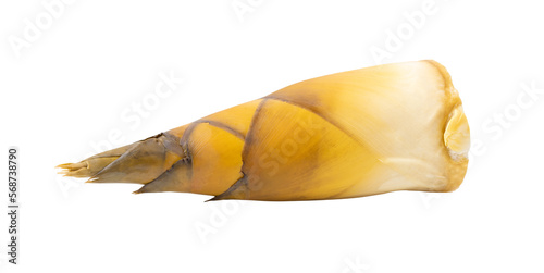 Photography Bamboo Sprouts isolated on transparent png