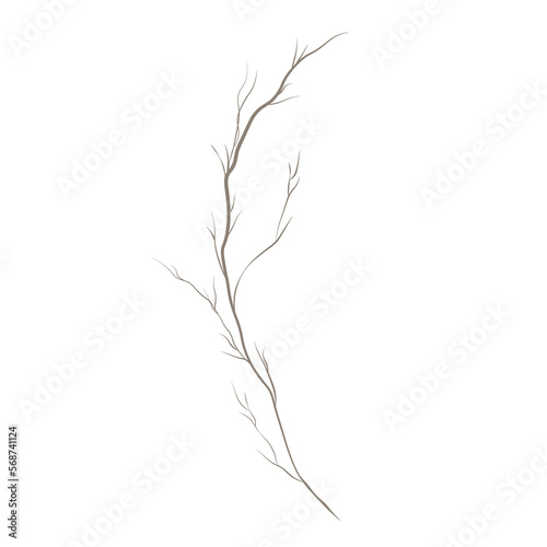 Tree branches on a PNG white background, Vector