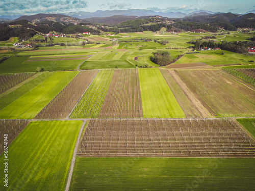 Aerial view of agricultural fields in the countryside of Slovenia 