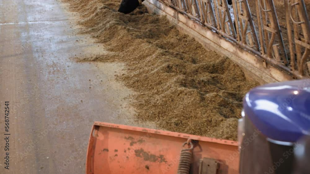 equipment for farmers, tractor with a shovel blade collects hay from