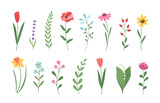 Flower collection with leaves. Floral decorations. Vector flowers. Spring summer art print with botanical elements. 8 march, Mother's day, Happy Easter.