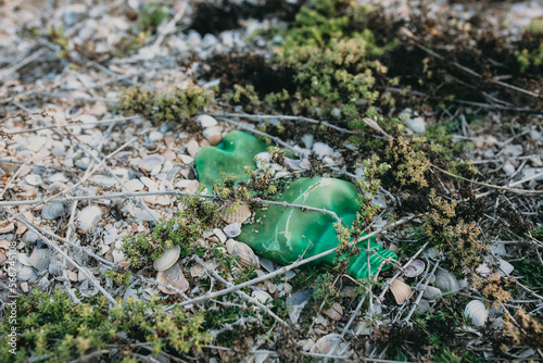 Outdoor image of old smashed green plastic bottle in sea shells left by tourists. Not biodegradable trash on seashore. Environmental contamination, protection and recycling concept