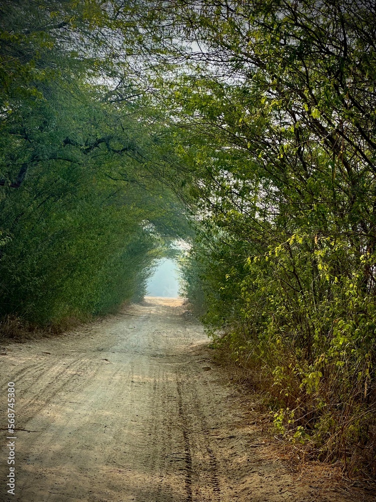 Road to Eden Road to Eden