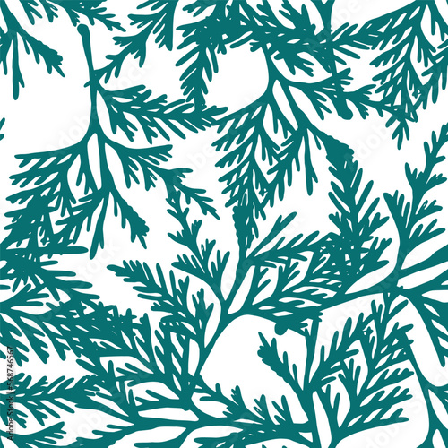 Wallpaper Mural thuja tree branch.seamless pattern. eps 10 vector stock illustration. out line. Torontodigital.ca