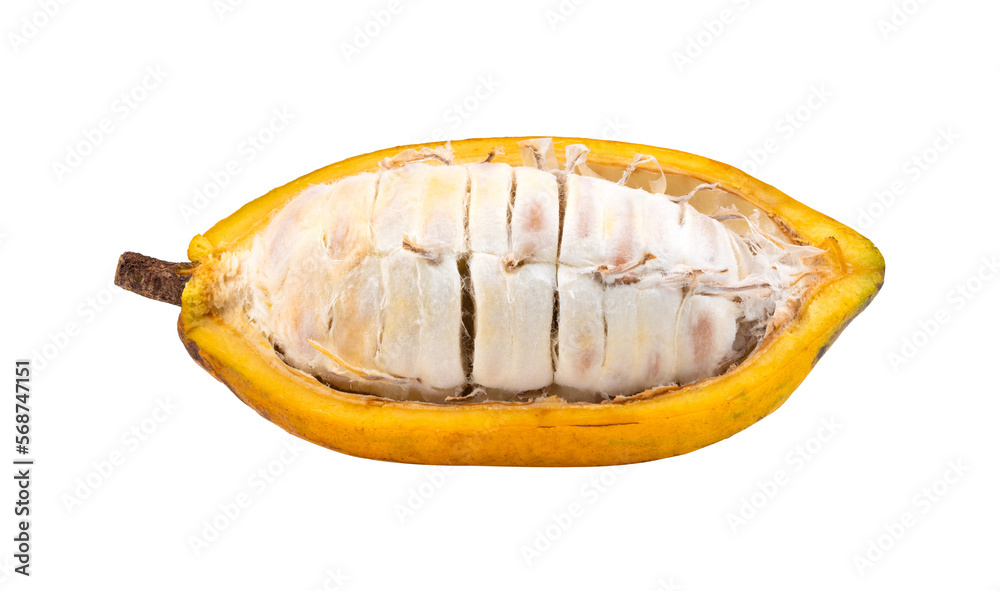 Fresh cocoa isolated on transparent png Fresh cocoa isolated on transparent png