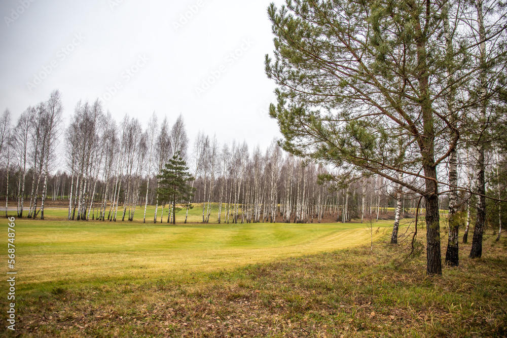 Obraz premium golf course in the cold season of spring and autumn