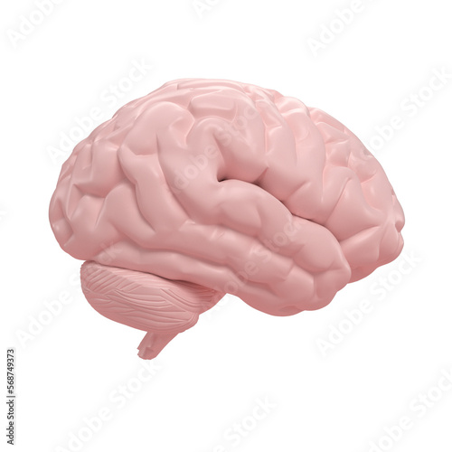 Human brain slide on isometric transparent background.