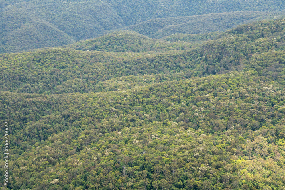 Bird's eye view of Blue Mountains National Park, dense forests with blue haze