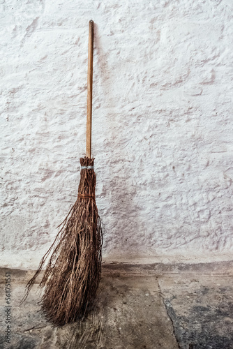 Φωτογραφία Witches Broom Against A Whitewashed Wall