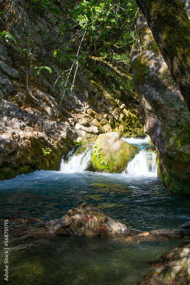 waterfall in forest spain