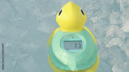 Rubber turtle in ice bath surrounded by ice cubes.