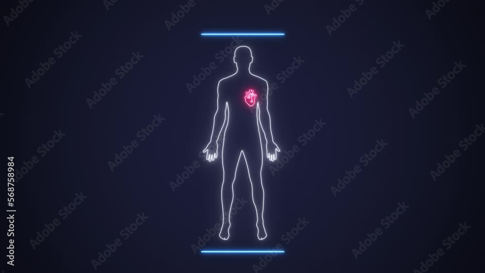 Cardio system heart medical exam in diagnostic clinic. Scan with x ray blood pump organs. Interface exam heart in sick red and healthy green state. Concept of diagnosis medicine and healthcare. High Cardio system heart medical exam in diagnostic clinic. Scan with x ray blood pump organs. Interface exam heart in sick red and healthy green state. Concept of diagnosis medicine and healthcare. High