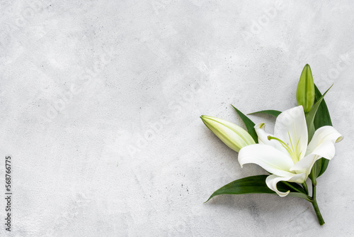 White liles flowers. Mourning or funeral background. Floral mock up photo
