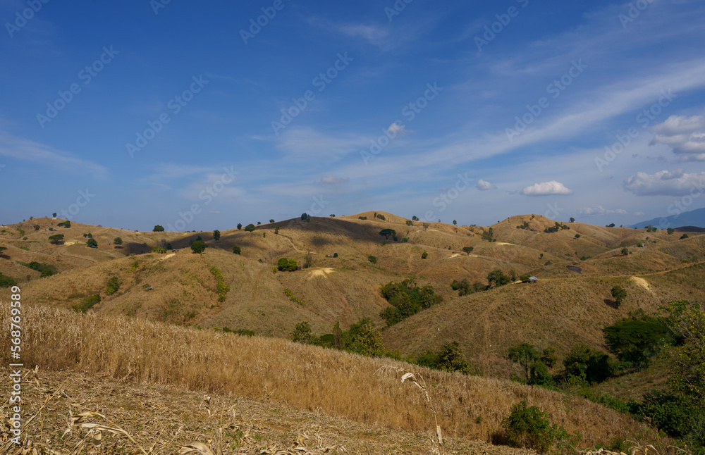 Image of the mountain during the dry season without green trees Suitable for making background images.